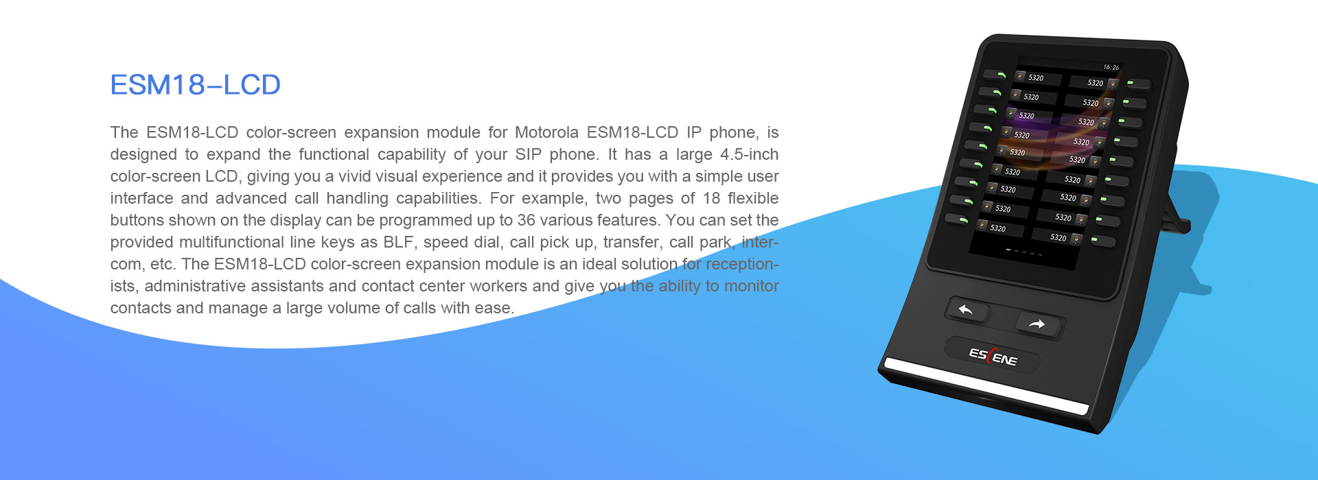 亚洲性夜色九九九久久久