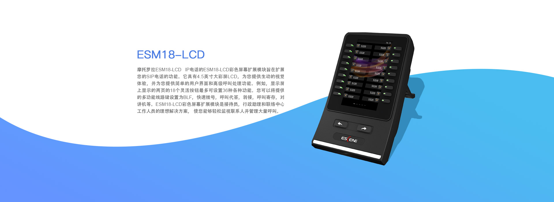 亚洲性夜色九九九久久久