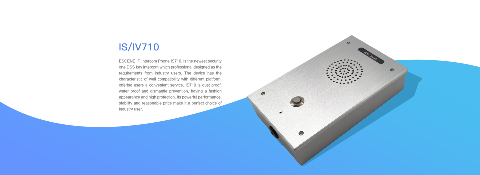 亚洲性夜色九九九久久久